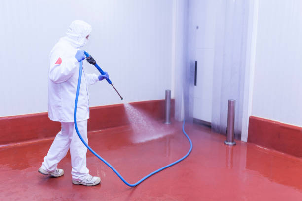 Best Boat and Dock Cleaning  in Oak View, CA